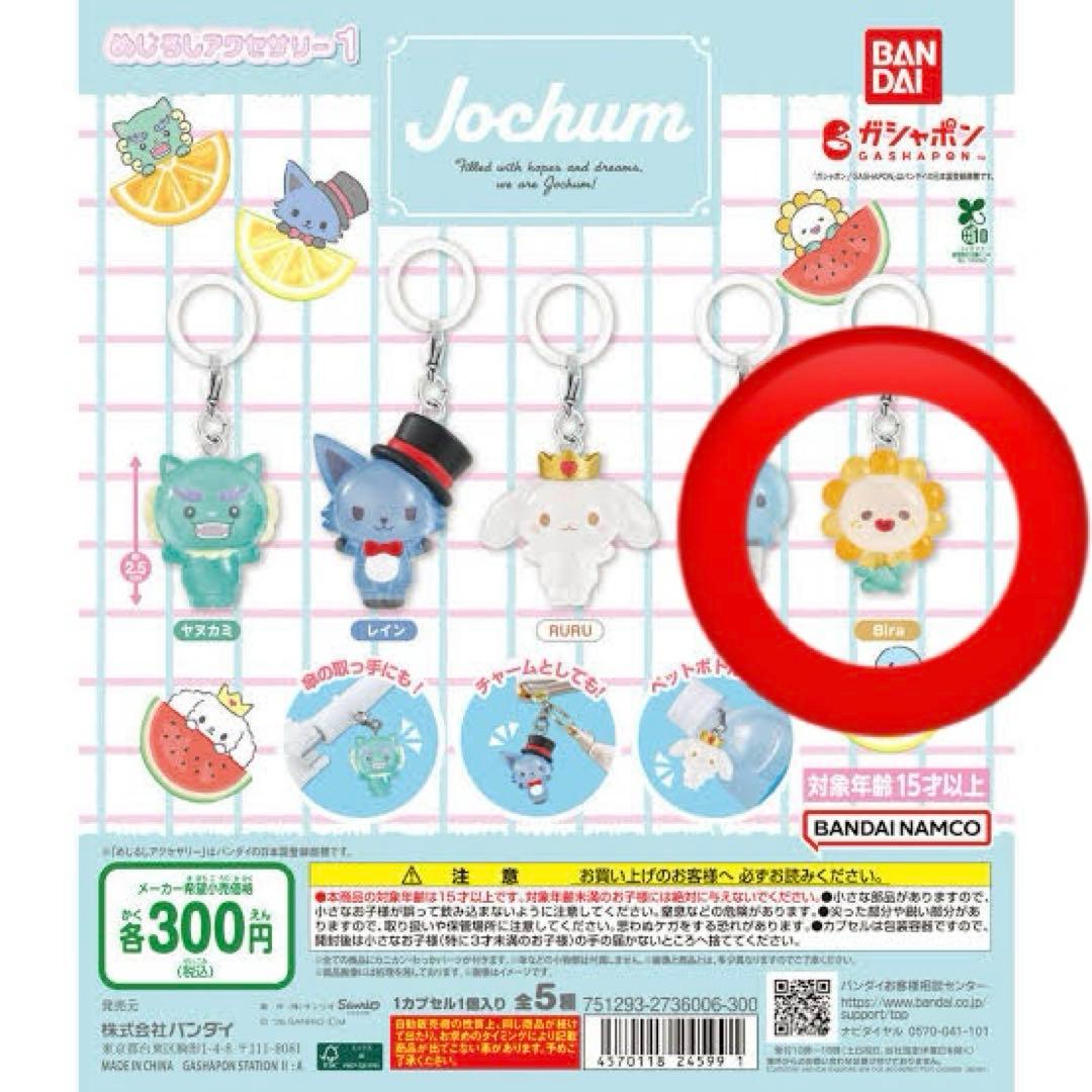 Jochum カプセルトイ Bira 佐藤景瑚 - メルカリ