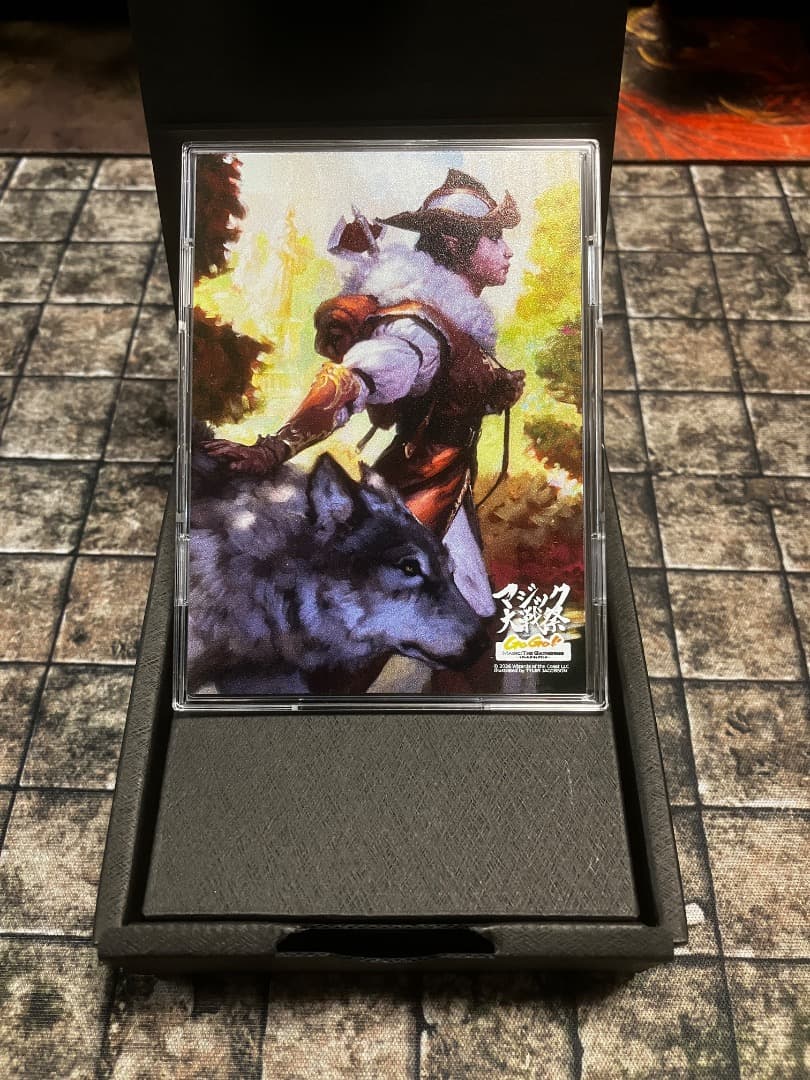 未使用]マジック：ザ・ギャリング 野生の心、セルヴァラ フル