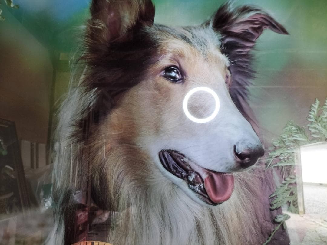 ラフコリー 立体美術時計 78.8cm×60cm 白木額縁 未使用品