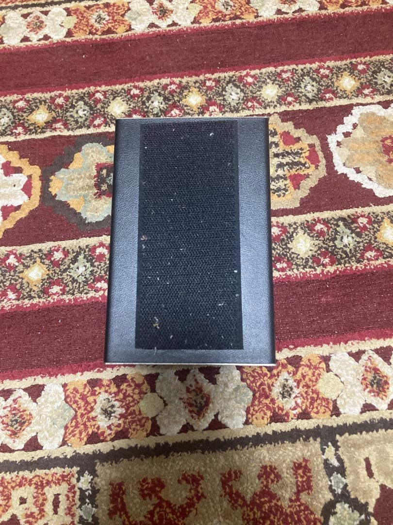 electro-harmonix Holy Grail 初期型　エレハモ