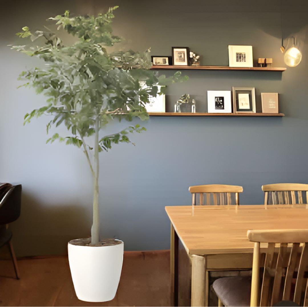 光触媒　人工観葉植物　ウォールグリーン　フェイクグリーン　フィカスツリー1.85