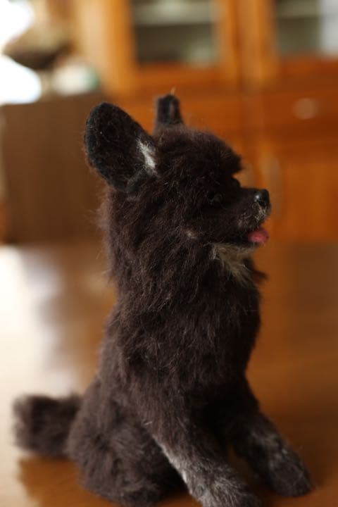 羊毛フェルト　ポメラニアン　ブラック