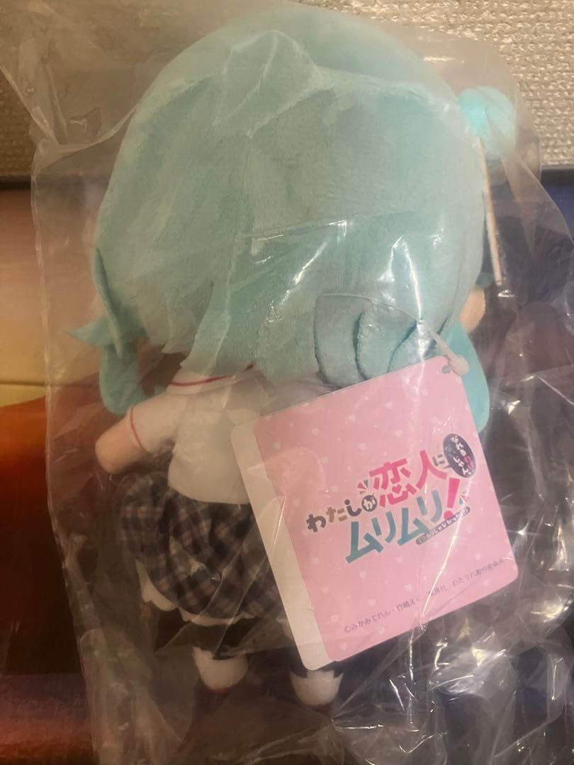 小柳香穂 みでぃあんぬいぐるみ わたなれ - メルカリ