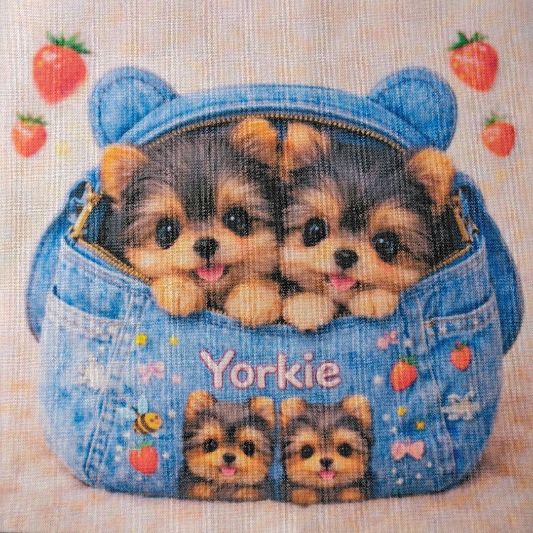 ☆受付☆ヨーキー No.A