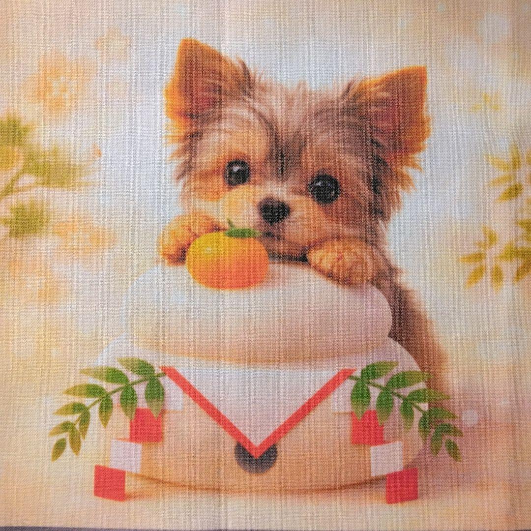 ☆受付☆ヨーキー No.A