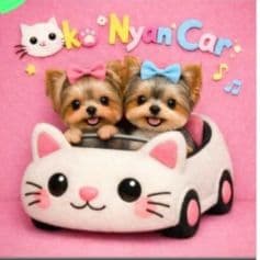 ☆受付☆ヨーキー No.A