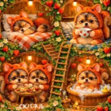 ☆受付☆ヨーキー No.A