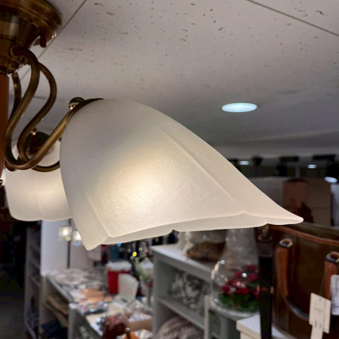 YAMADA 山田照明 SINKO 6灯 ペンダントライト 照明 ランプ