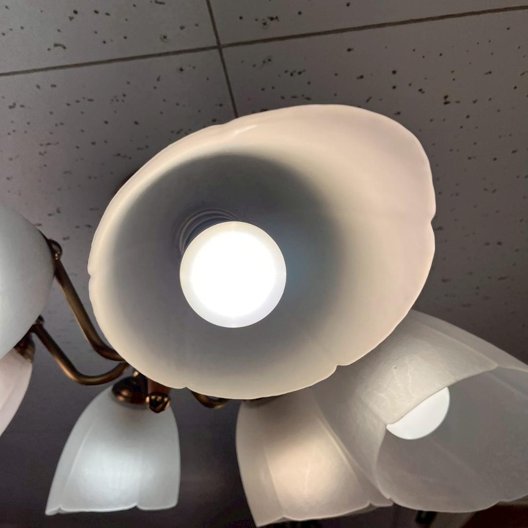 YAMADA 山田照明 SINKO 6灯 ペンダントライト 照明 ランプ