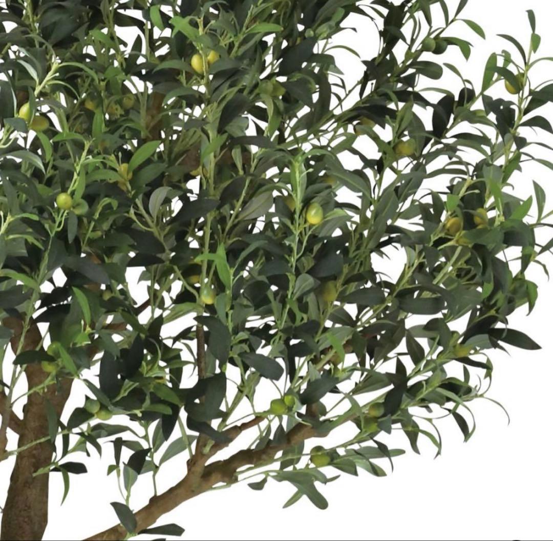 光触媒　人工観葉植物　ウォールグリーン　フェイクグリーン　ブラックオリーブ鉢付き