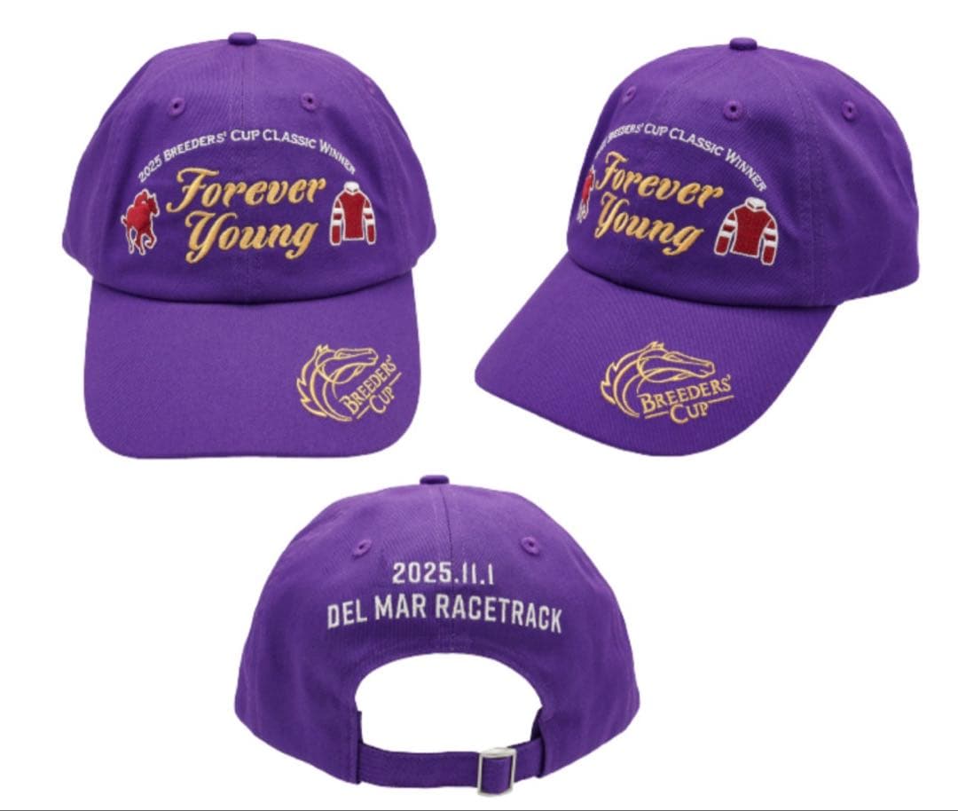 【非売品】フォーエバーヤングキャップ Welcomeチャンス ポストカード4枚付