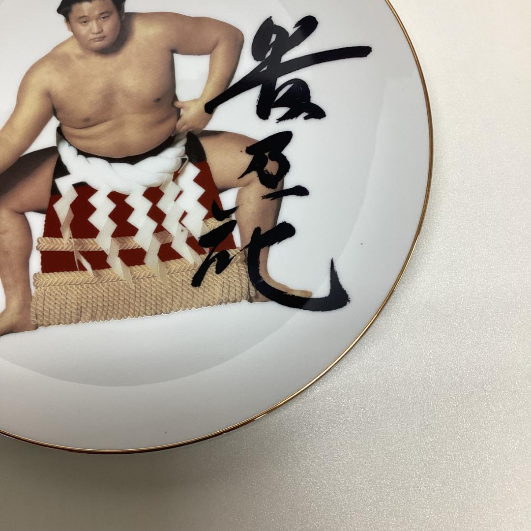 最終値下げ 当時物大相撲 貴乃花 飾り 皿 - メルカリ