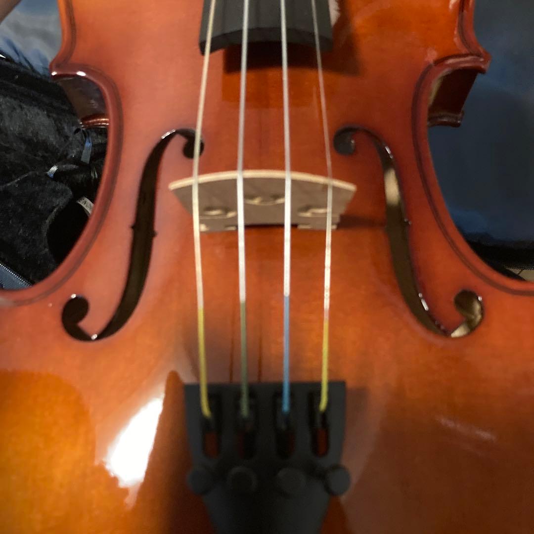 10/13までの価格！カルロジョルダーノバイオリンVS-14/4サイズ - メルカリ