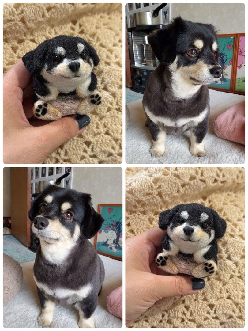 ono様　ご確認用　まんまるあにまるず