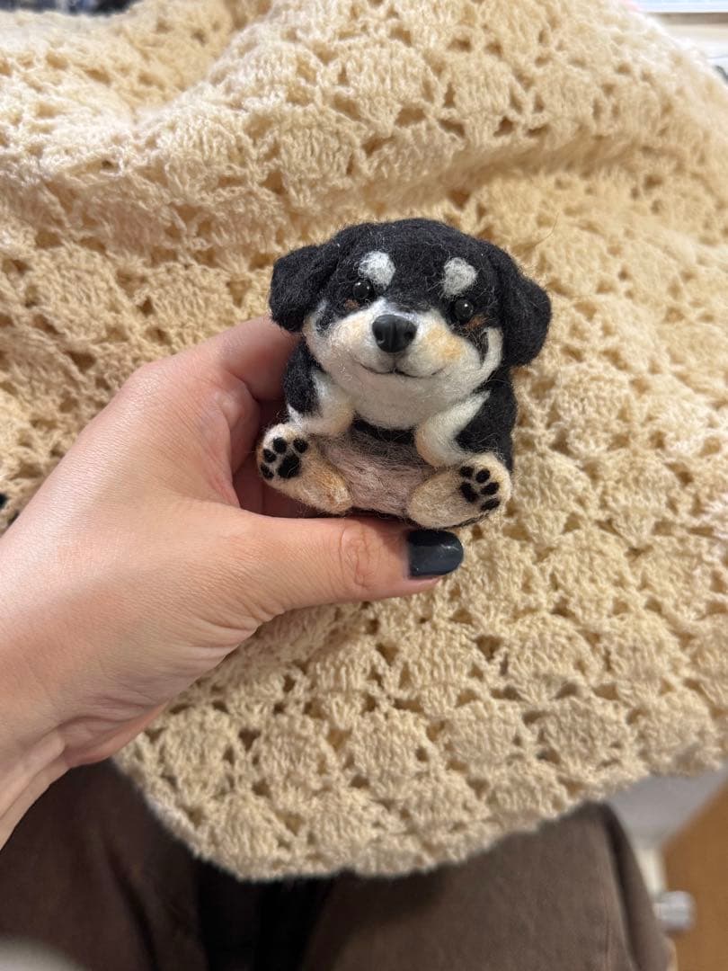 ono様　ご確認用　まんまるあにまるず