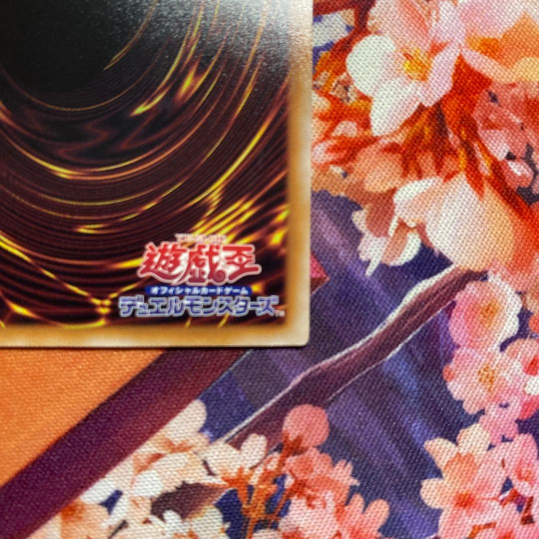 遊戯王 ブラックマジシャン 25th クオシク 絵違い QCAC アーコレ 日版