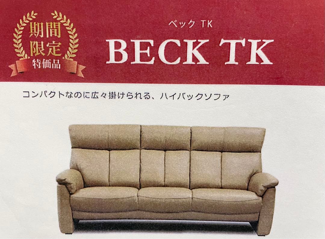 【1万円相当ソファカバー付‼︎ 】3人掛けソファ(3S) ハイバック・革張り