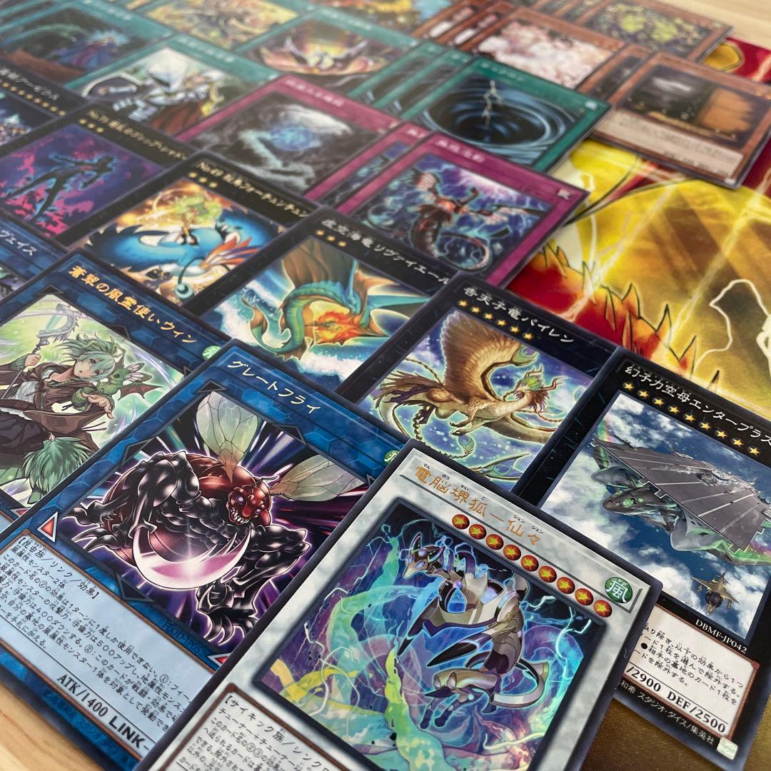 大会構築 絢嵐デッキ トーテムバード ローカストキング フォニクス