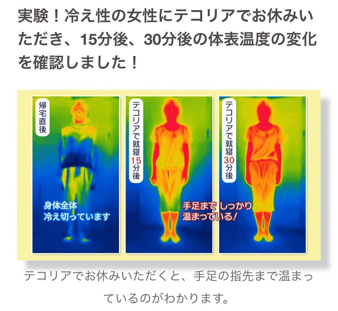 【新品】【定価80%OFF】 空気循環マットレス テコリア シングル