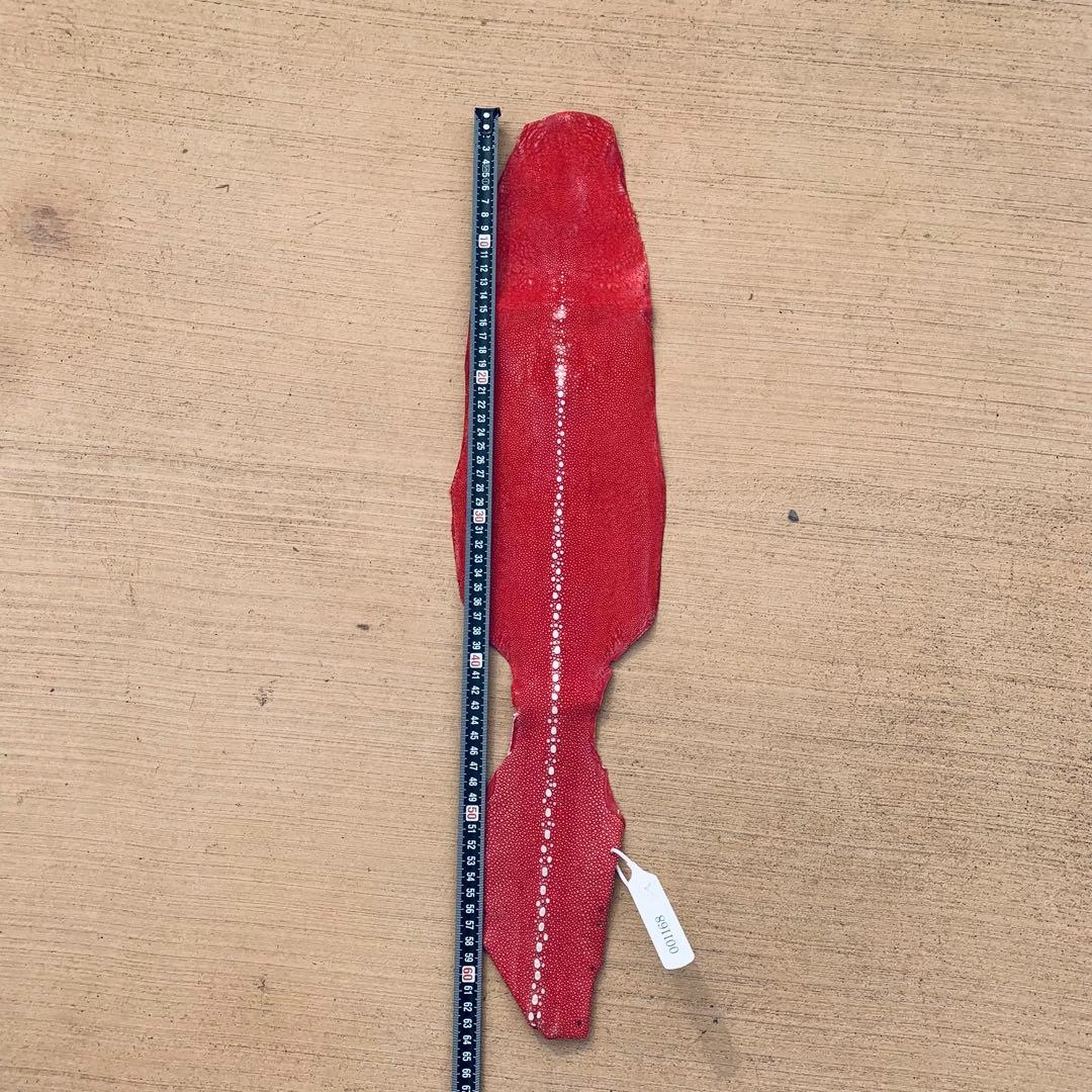 29 AA 連石 ローストーン エイ革 鮫革 スティングレイ スティングレー