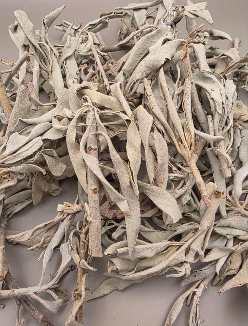 業務用価額☆無農薬ホワイトセージ枝付きクラスター1KGお香浄化☆お得長く使えます