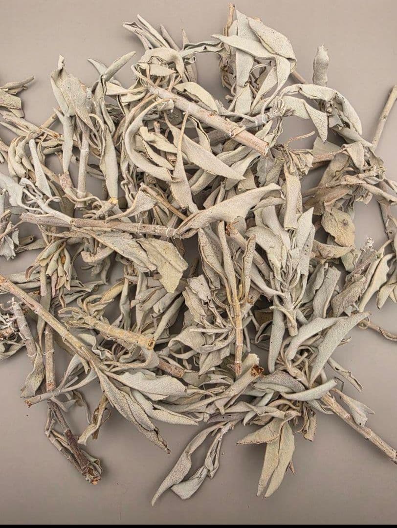 業務用価額☆無農薬ホワイトセージ枝付きクラスター1KGお香浄化☆お得長く使えます