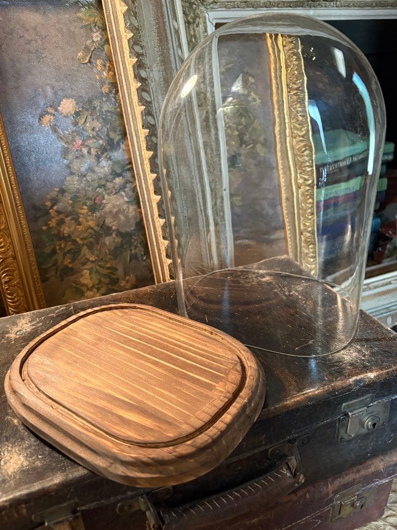 ガラスドーム　レア