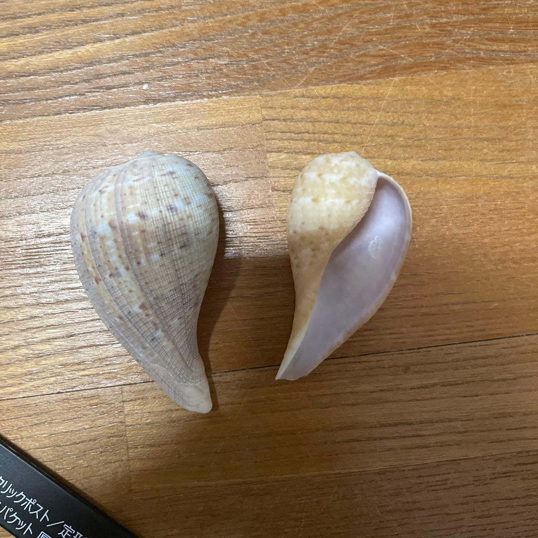 あきやん様確認用