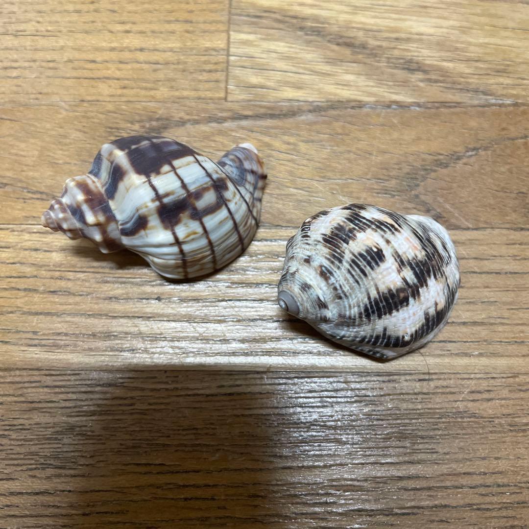 あきやん様確認用