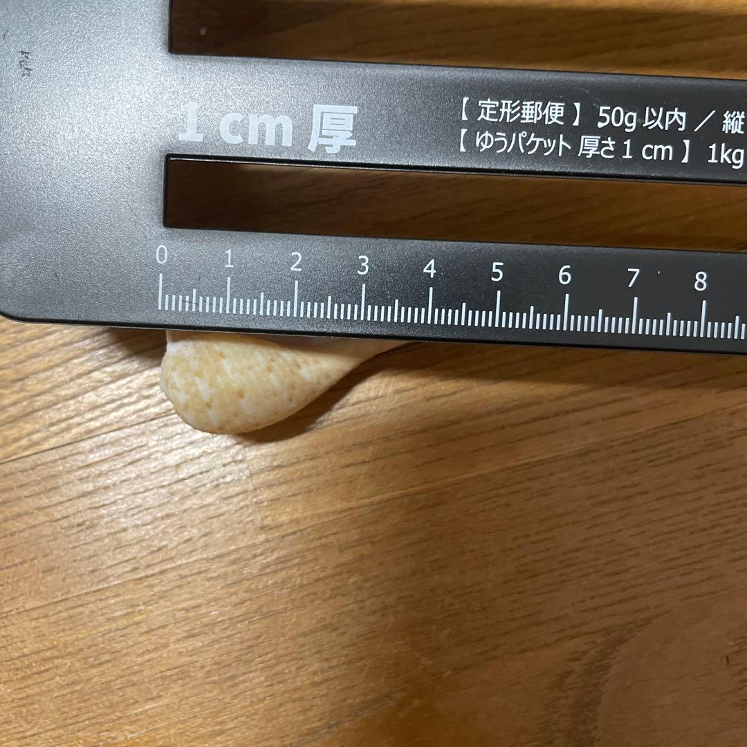 あきやん様確認用