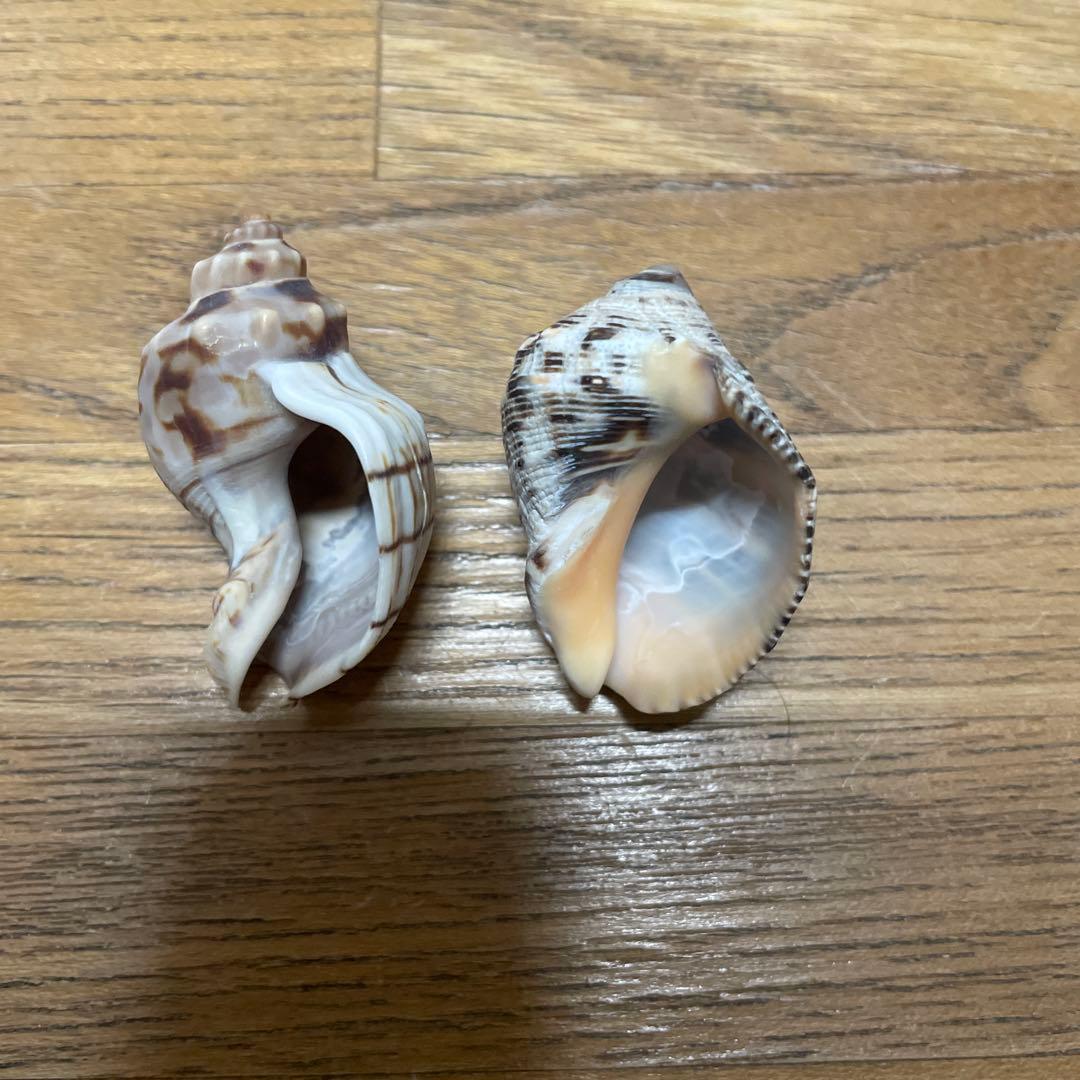 あきやん様確認用