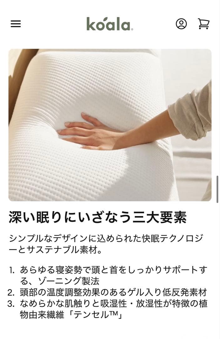 901【Koala 正規品／未開封／新品未使用】￥12,500／コアラピロー／枕