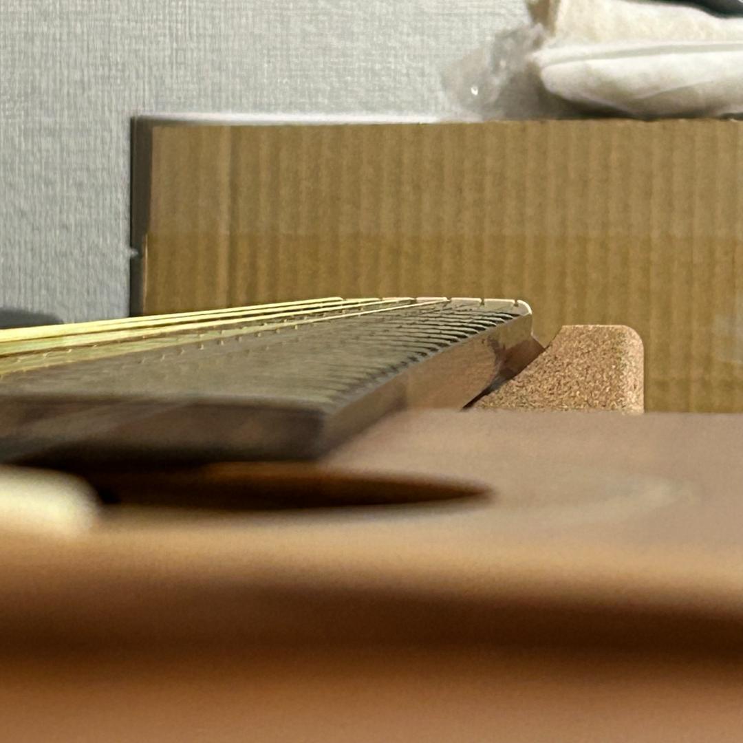 シーガル SEAGULL S6+FORK