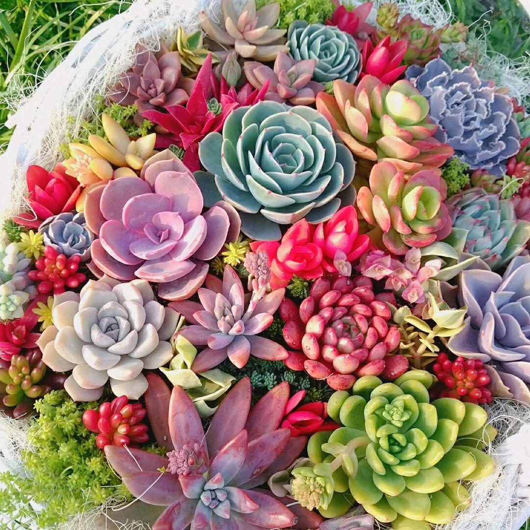 ご確認用ページ