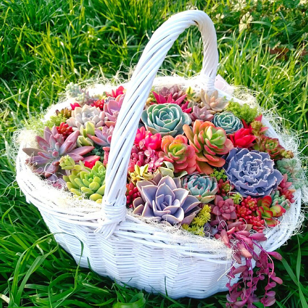 ご確認用ページ