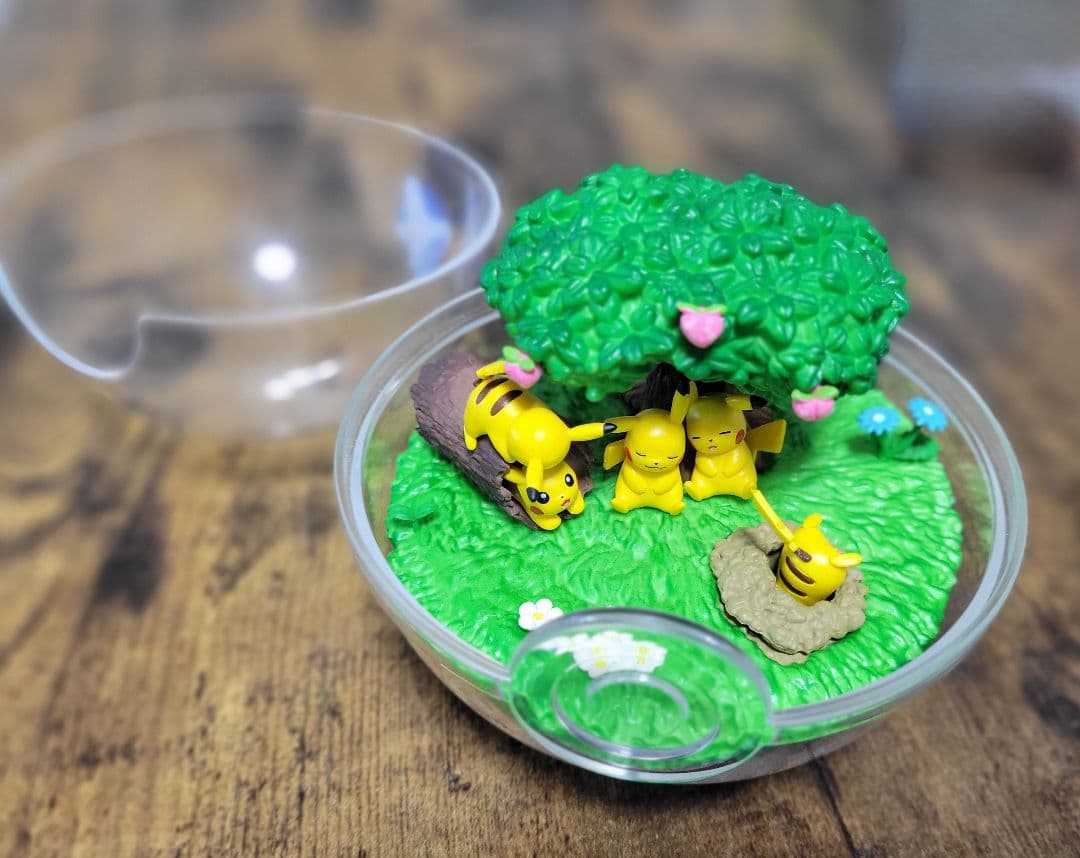 ポケットモンスター テラリウムコレクションDX ～ひだまりの森の