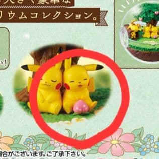 ポケットモンスター テラリウムコレクションDX ～ひだまりの森の