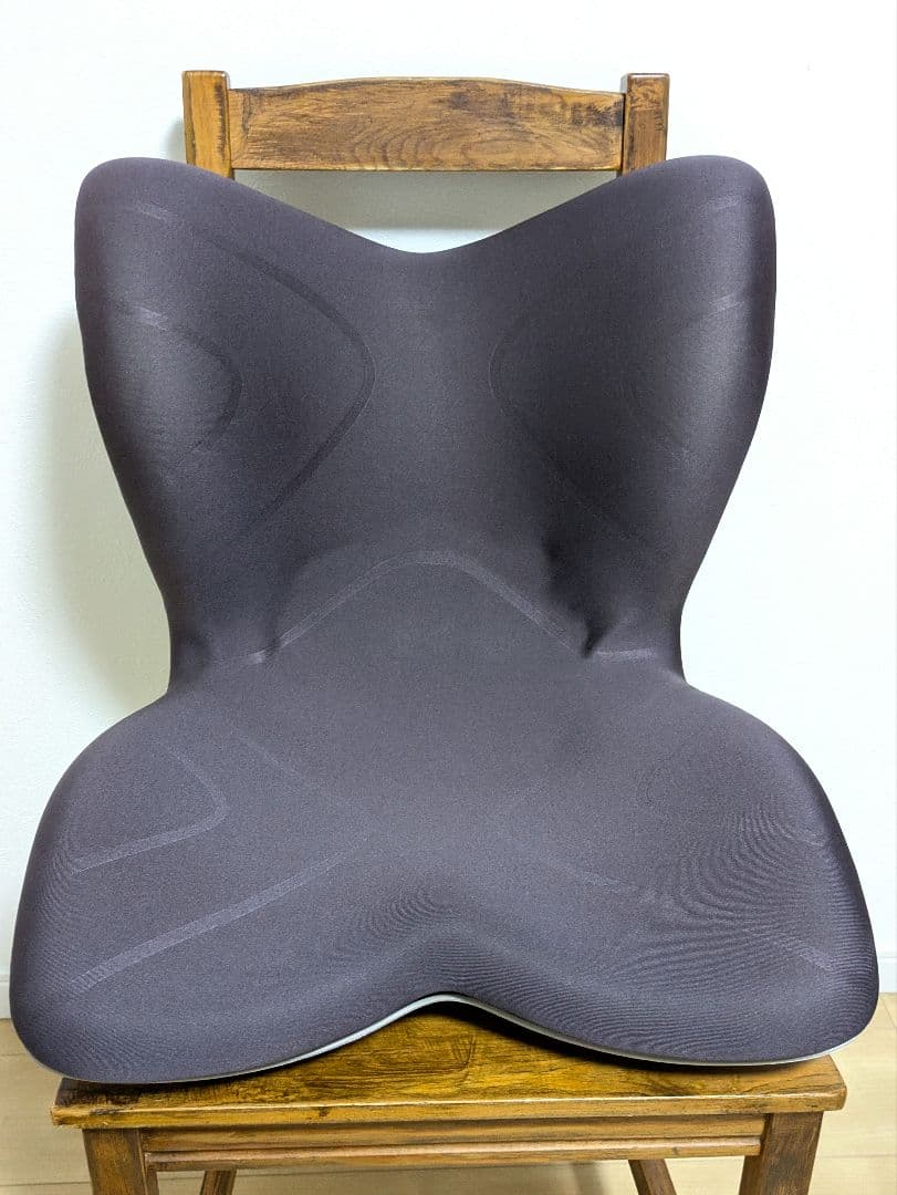 【美品】 MTG スタイルプレミアム 骨盤サポートチェア 姿勢矯正 猫背対策