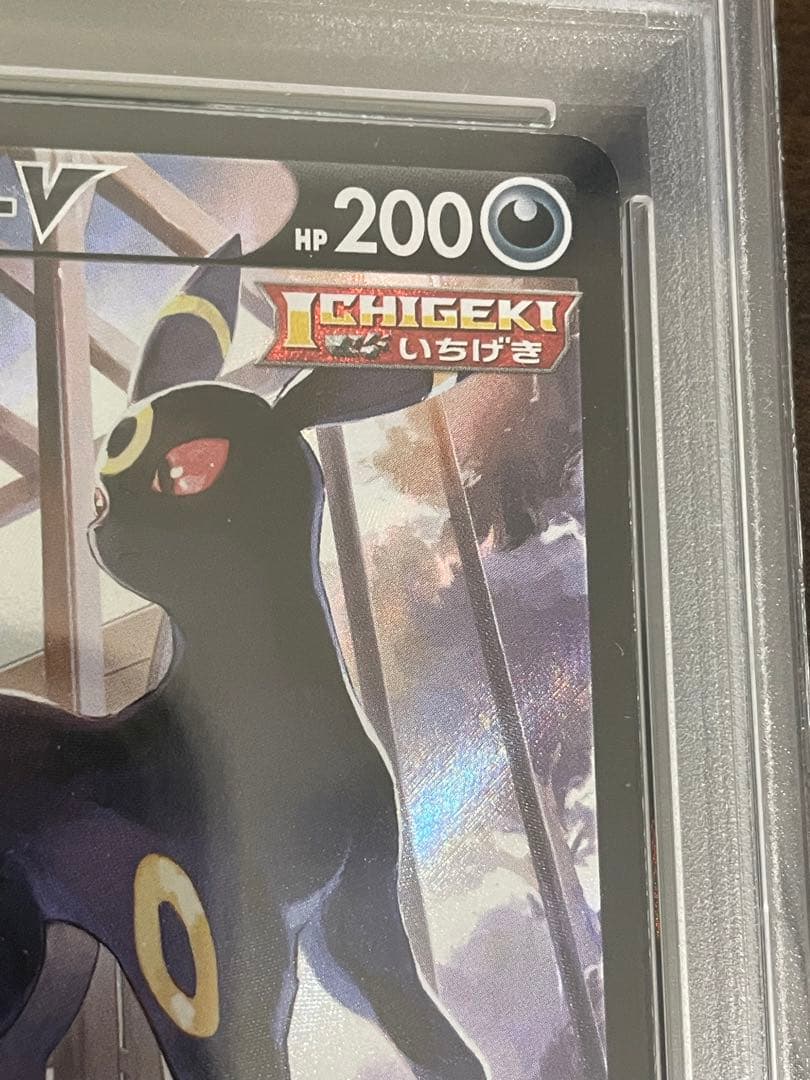 ポケモンカード　ブラッキーV CSR PSA10