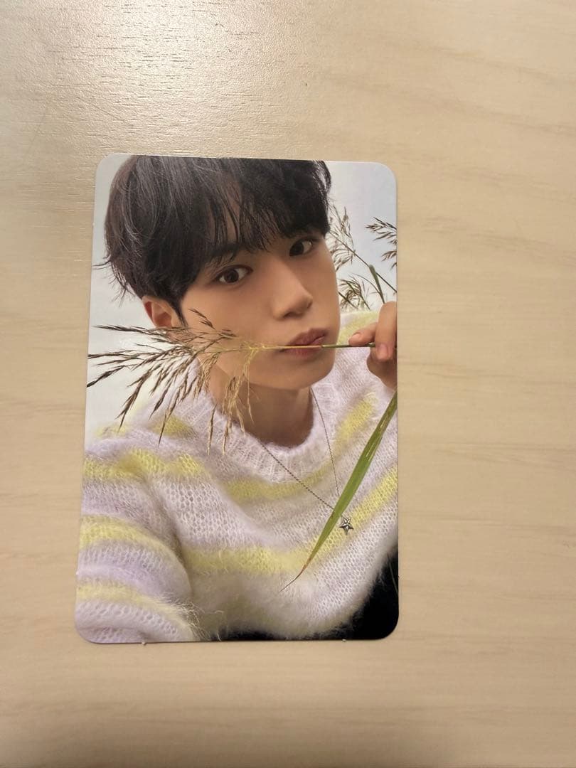 ALD1 ジュンソ トレカ 封入 euphoria - メルカリ