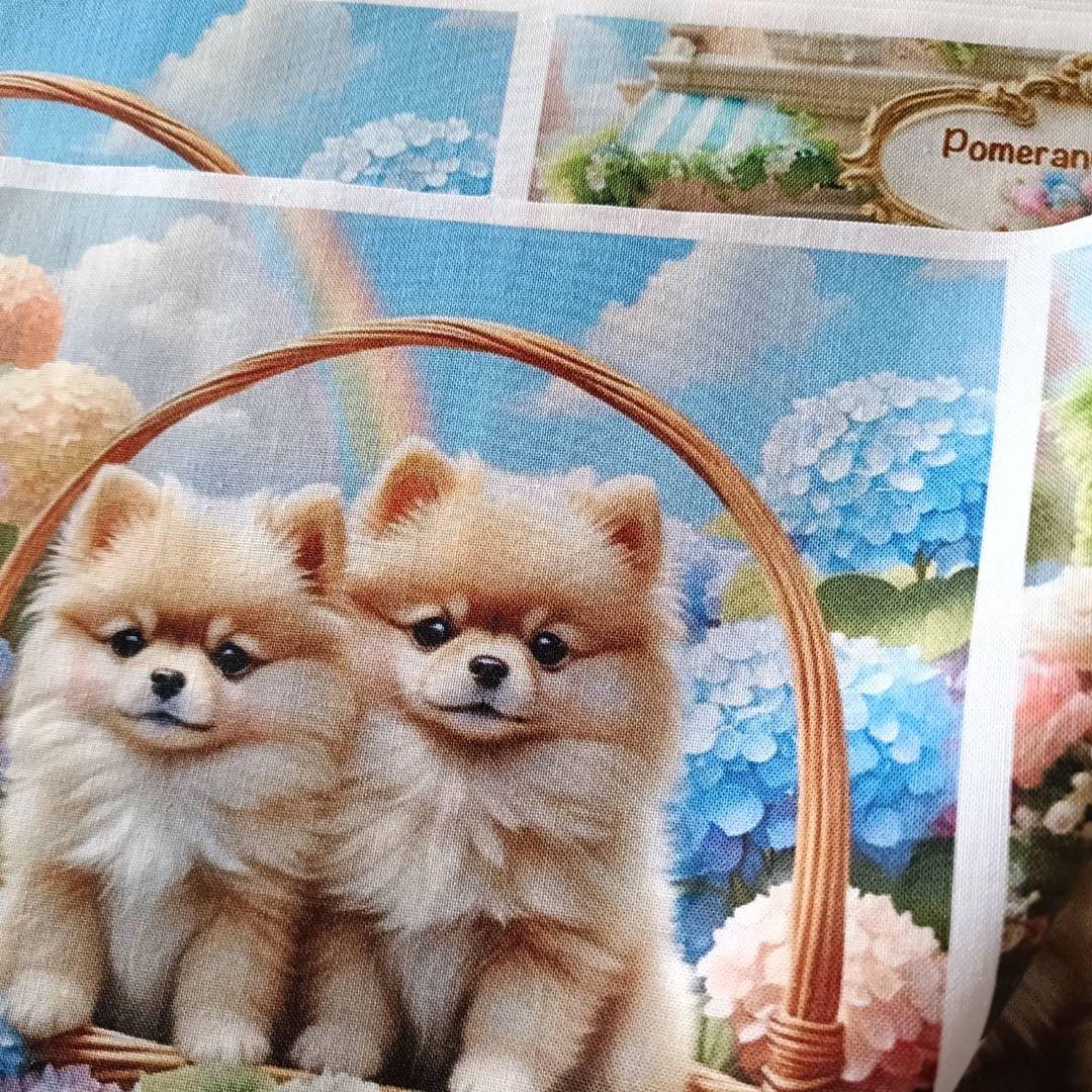 new☆春ꕤ︎︎ポメラニアン／17×17cm／6柄オリジナルパネル生地 - メルカリ