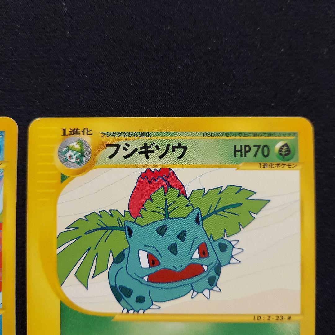 ポケモンカード eシリーズ プロモーション リザード カメール