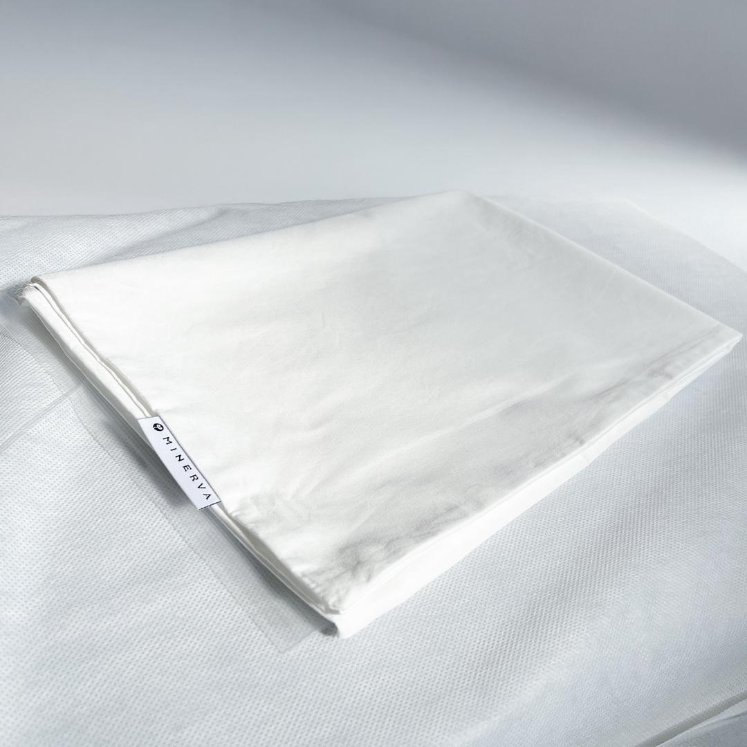 【美品】ミネルヴァピロー 通販の虎 ヒカル 枕