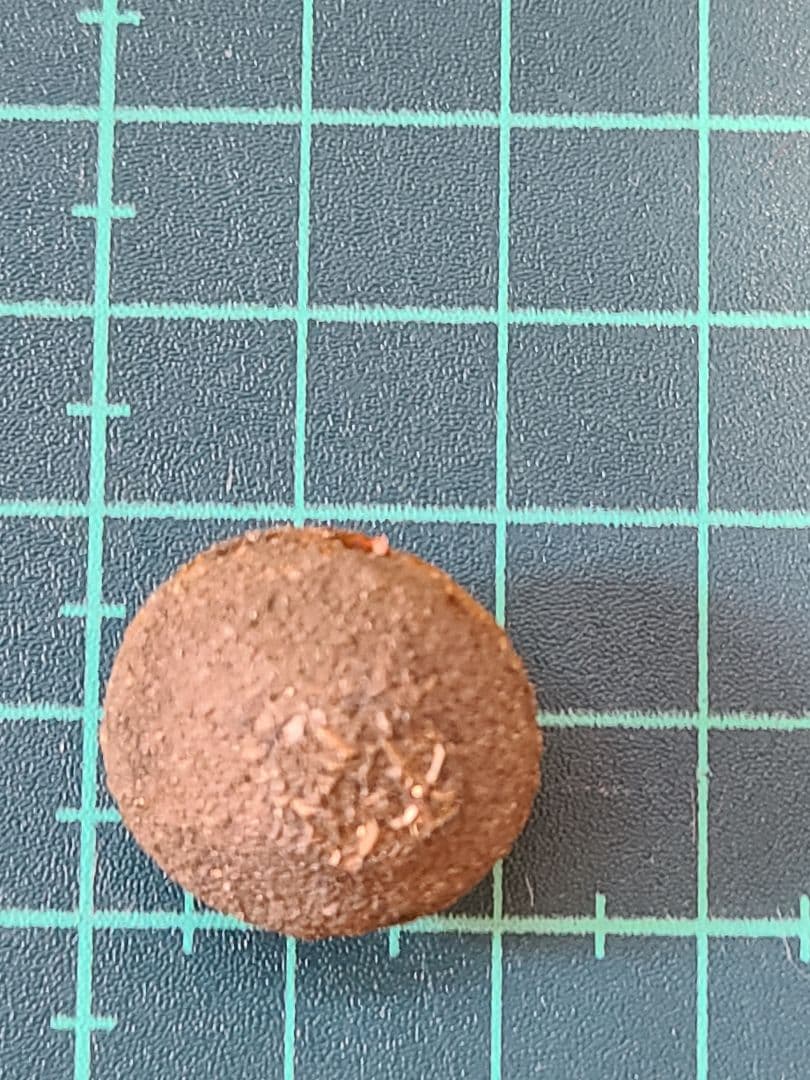 ボージーストーン①　レインボーボージーストーン　Boji Alive STONS