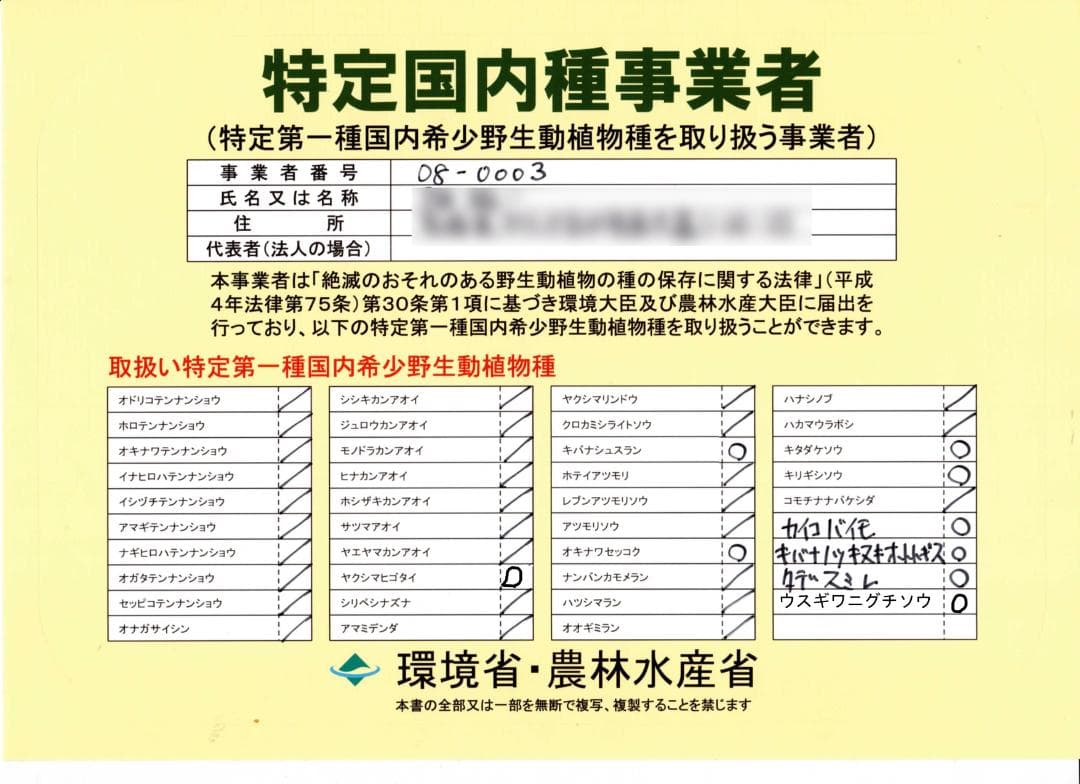 こ*こ様 タデスミレ