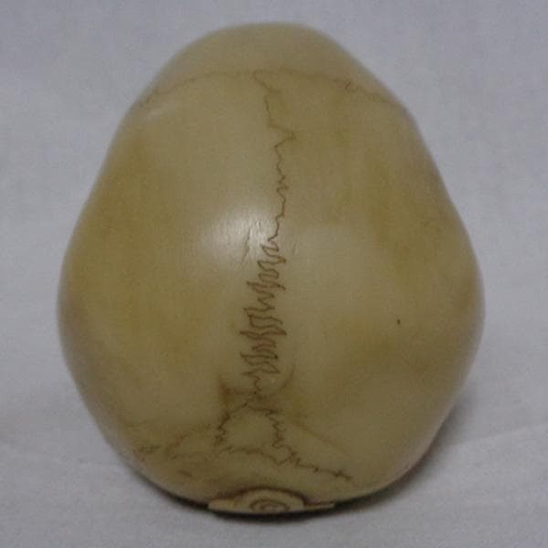 PAGAN ドクロ 髑髏 スカル ガイコツ 骸骨 文鎮 ペーパーウェイト UK製