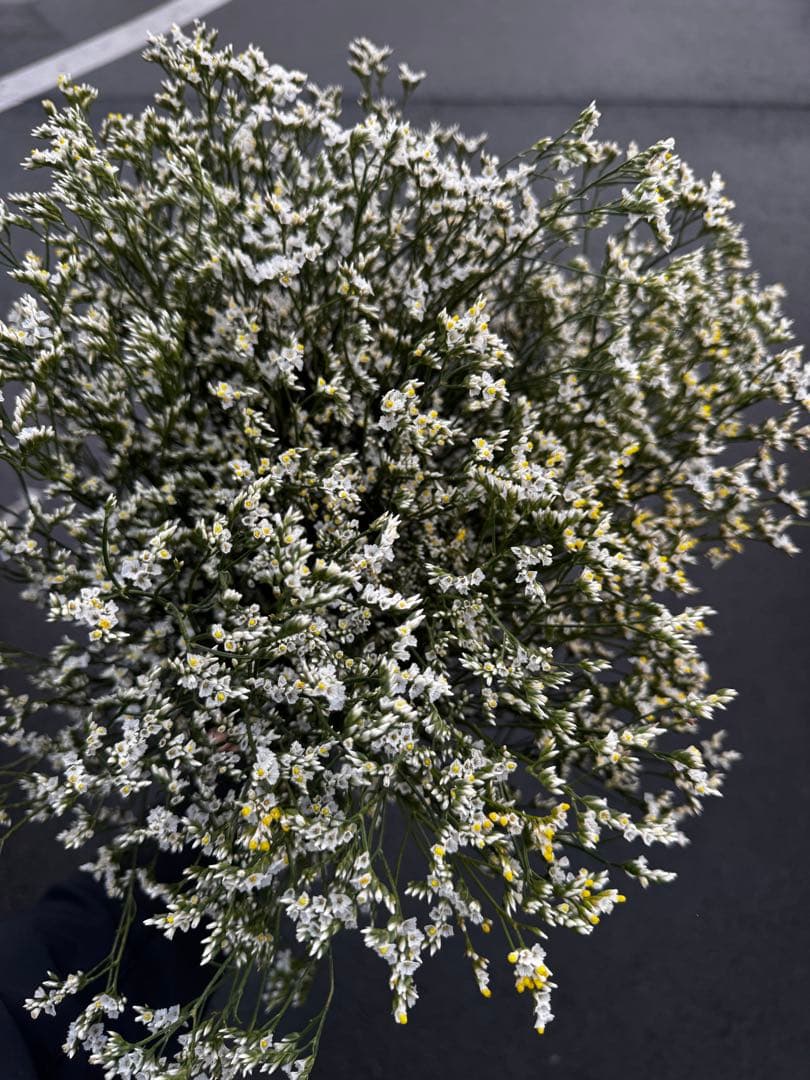 R様 リクエスト 3点 まとめ商品