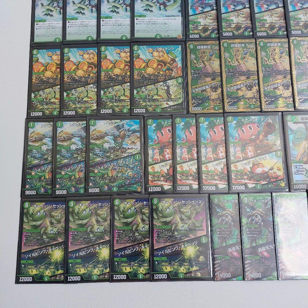 グランセクト デッキ デュエマ キャベツ ネイチャー デッキ2個セット