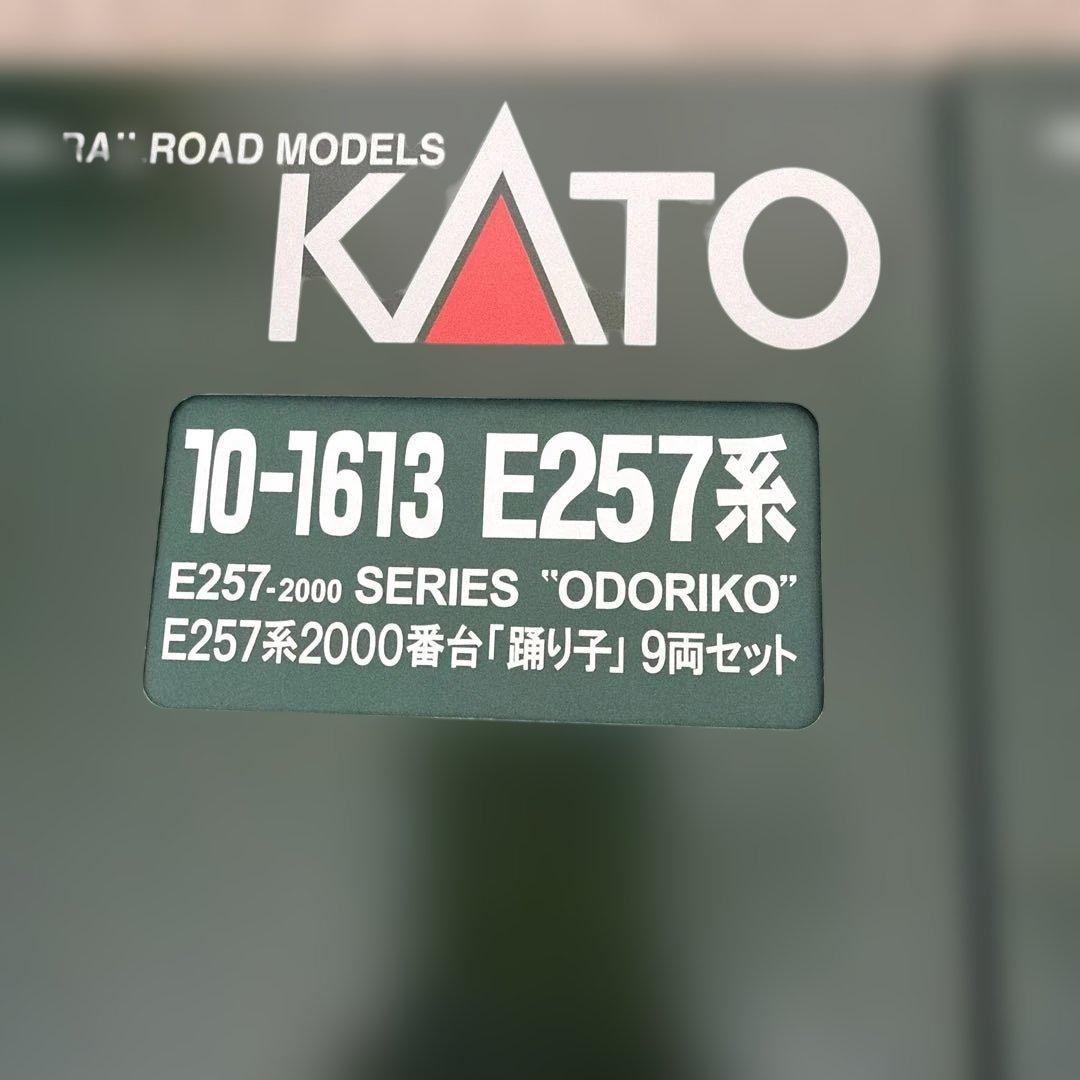 10-1613 10-1614 E257系「踊り子」