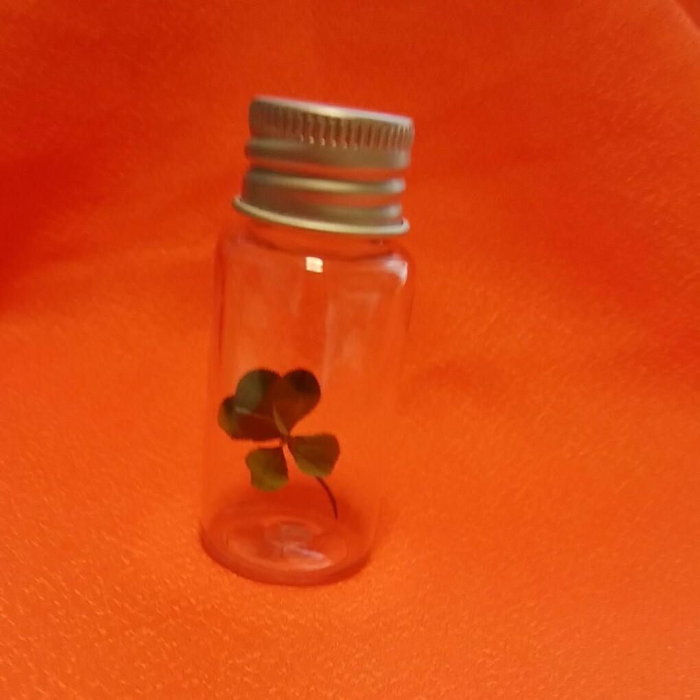 超激レア　八つ葉のクローバー　ドライフラワー